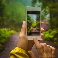En person håller upp en mobiltelefon som visar en bild av en solig skogsväg. Det är som en åtelkamera kopplad till mobil, redo att fånga naturens skönhet.