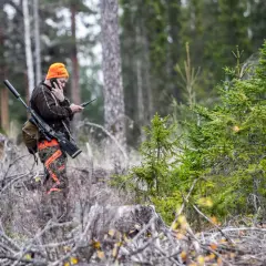 Jägare i orange mössa pratar i telefon med sitt gevär redo. Kanske planerar han nästa äventyr med sitt friskvårdsbidrag jakt.