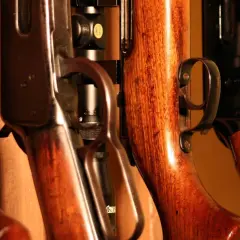 Detaljerade bilder av vapen med träkolvar. En guide hjälper dig att välja rätt när du ska skicka vapen.