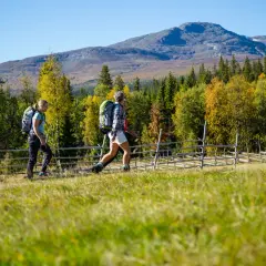 Vandrare njuter av en vacker höstdag med Vålådalen vandring i bakgrunden.