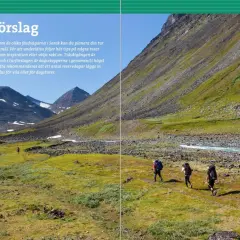 Vandrare med ryggsäckar rör sig genom ett gräsbevuxet landskap i Sarek nationalpark, med berg och en flod i bakgrunden.