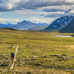 Vandrare på spång i Abisko-Nikkaluokta-landskap med berg och sjö.