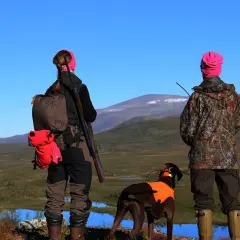 Två jägare med hund blickar ut över fjällandskap. En av dem har ett statligt jaktkort i fickan.