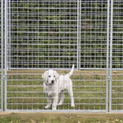 En söt valp står i en nybyggd hundgård. Grönskande buskar syns bakom stängslet.