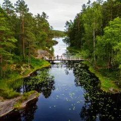 Vacker bro över en mörk sjö med näckrosor i **Tresticklans nationalpark**. Skogsklädda stränder och en klar himmel.
