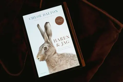 En bok med titeln "Haren & Jag" visas på en skärm, med en illustration av en hare. Boken handlar om en oväntad vänskap, som en hare boplats i naturen.