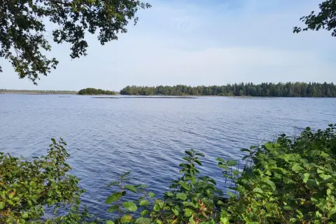 Vacker sjöutsikt med skog i bakgrunden, som om man följer den gula stigen i Uppsala. Grönska ramar in bilden.
