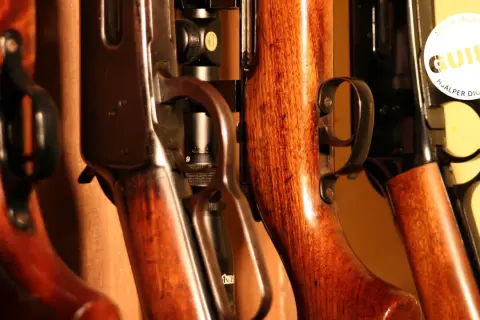 Detaljerade bilder av vapen med träkolvar. En guide hjälper dig att välja rätt när du ska skicka vapen.