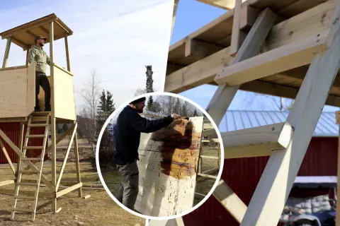 Byggnation av jakttorn. En man målar träet, som påminner om en stor lastpall, med skyddande olja.
