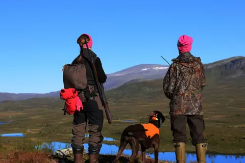 Två jägare med hund blickar ut över fjällandskap. En av dem har ett statligt jaktkort i fickan.