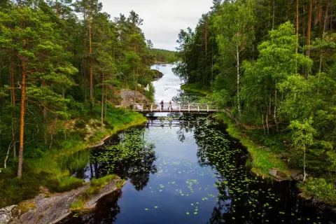 Vacker bro över en mörk sjö med näckrosor i **Tresticklans nationalpark**. Skogsklädda stränder och en klar himmel.