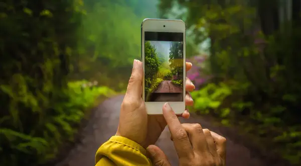 En person håller upp en mobiltelefon som visar en bild av en solig skogsväg. Det är som en åtelkamera kopplad till mobil, redo att fånga naturens skönhet.