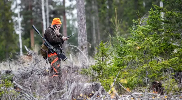 Jägare i orange mössa pratar i telefon med sitt gevär redo. Kanske planerar han nästa äventyr med sitt friskvårdsbidrag jakt.