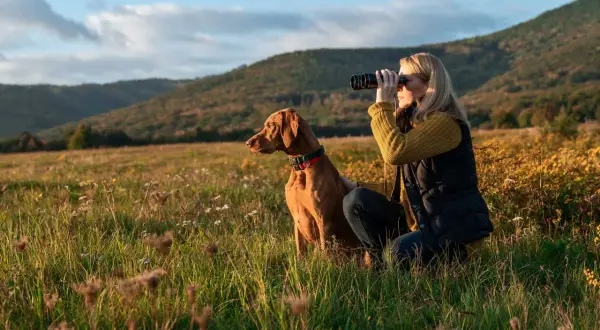 Kvinna med kikare och en brun hund i ett fält. Perfekt för kortdrivande hundraser som Vizsla.