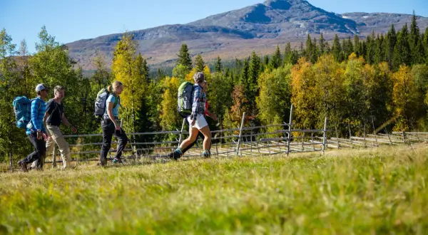 Vandrare njuter av en vacker höstdag med Vålådalen vandring i bakgrunden.