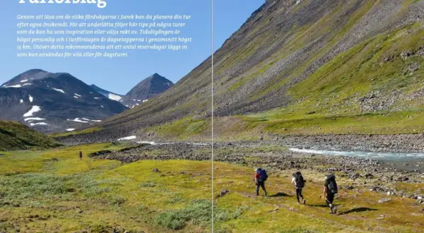 Vandrare med ryggsäckar rör sig genom ett gräsbevuxet landskap i Sarek nationalpark, med berg och en flod i bakgrunden.