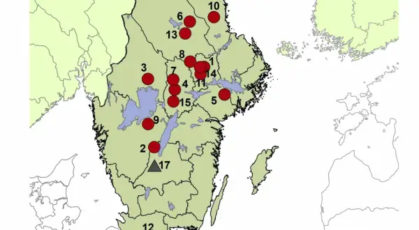 Karta över vargrevir i Sverige med röda cirklar som markerar revir och grå trianglar som markerar andra platser.
