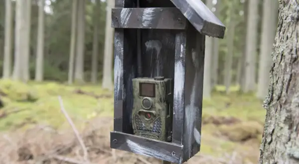 Vildmarkskamera i skyddande låda i skogen. Tänk på åtelkamera regler för att undvika problem.