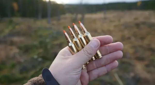 Hand håller fyra Norma Ecostrike 308 kulor, redo för test i skogen.