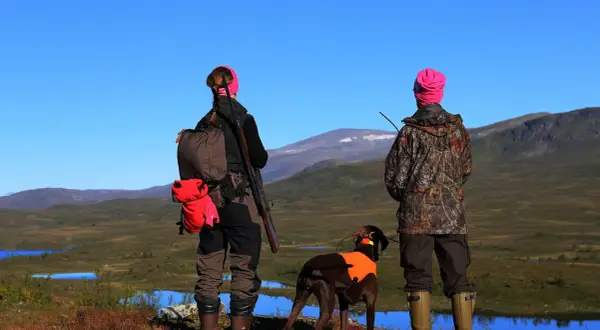 Två jägare med hund blickar ut över fjällandskap. En av dem har ett statligt jaktkort i fickan.