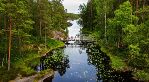 Vacker bro över en mörk sjö med näckrosor i **Tresticklans nationalpark**. Skogsklädda stränder och en klar himmel.