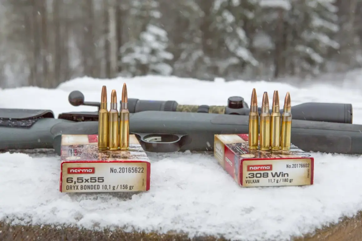 Två lådor med Norma ammunition, 6,5x55 och .308 Win, står på snö framför ett gevär. Klass 1 ammunition redo för jakt.