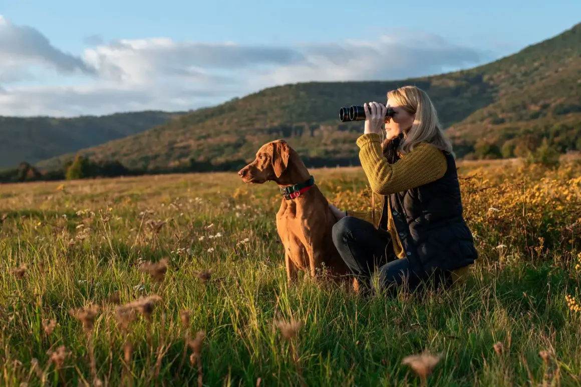 Kvinna med kikare och en brun hund i ett fält. Perfekt för kortdrivande hundraser som Vizsla.