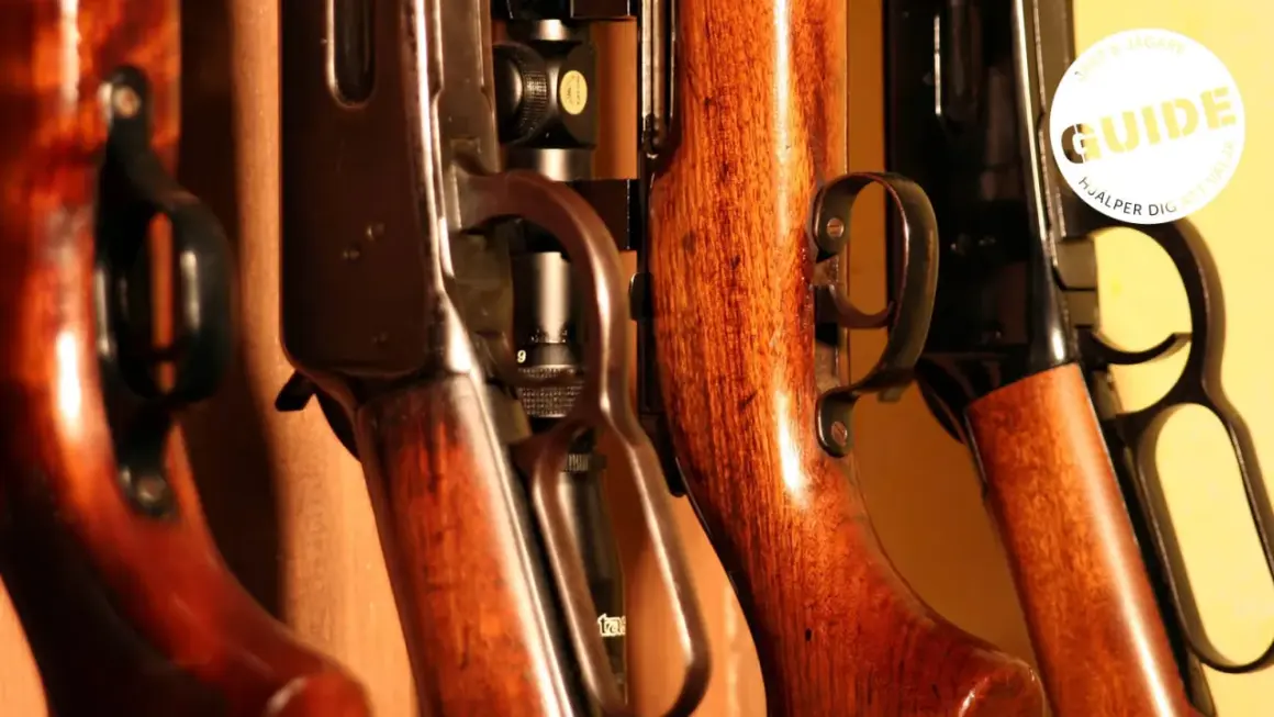 Detaljerade bilder av vapen med träkolvar. En guide hjälper dig att välja rätt när du ska skicka vapen.