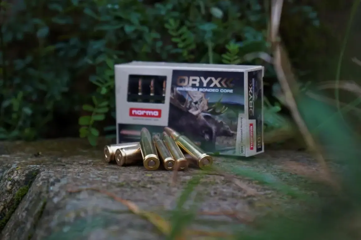 Norma Oryx ammunition, med olika vapen namn på förpackningen, ligger utspridda på en sten.