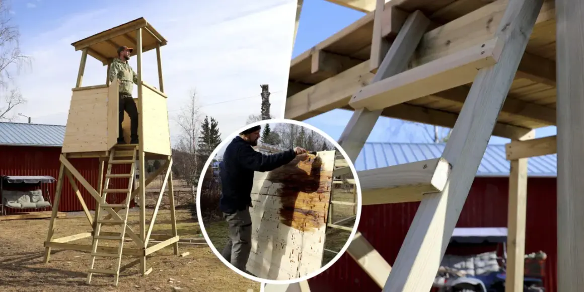 Byggnation av jakttorn. En man målar träet, som påminner om en stor lastpall, med skyddande olja.