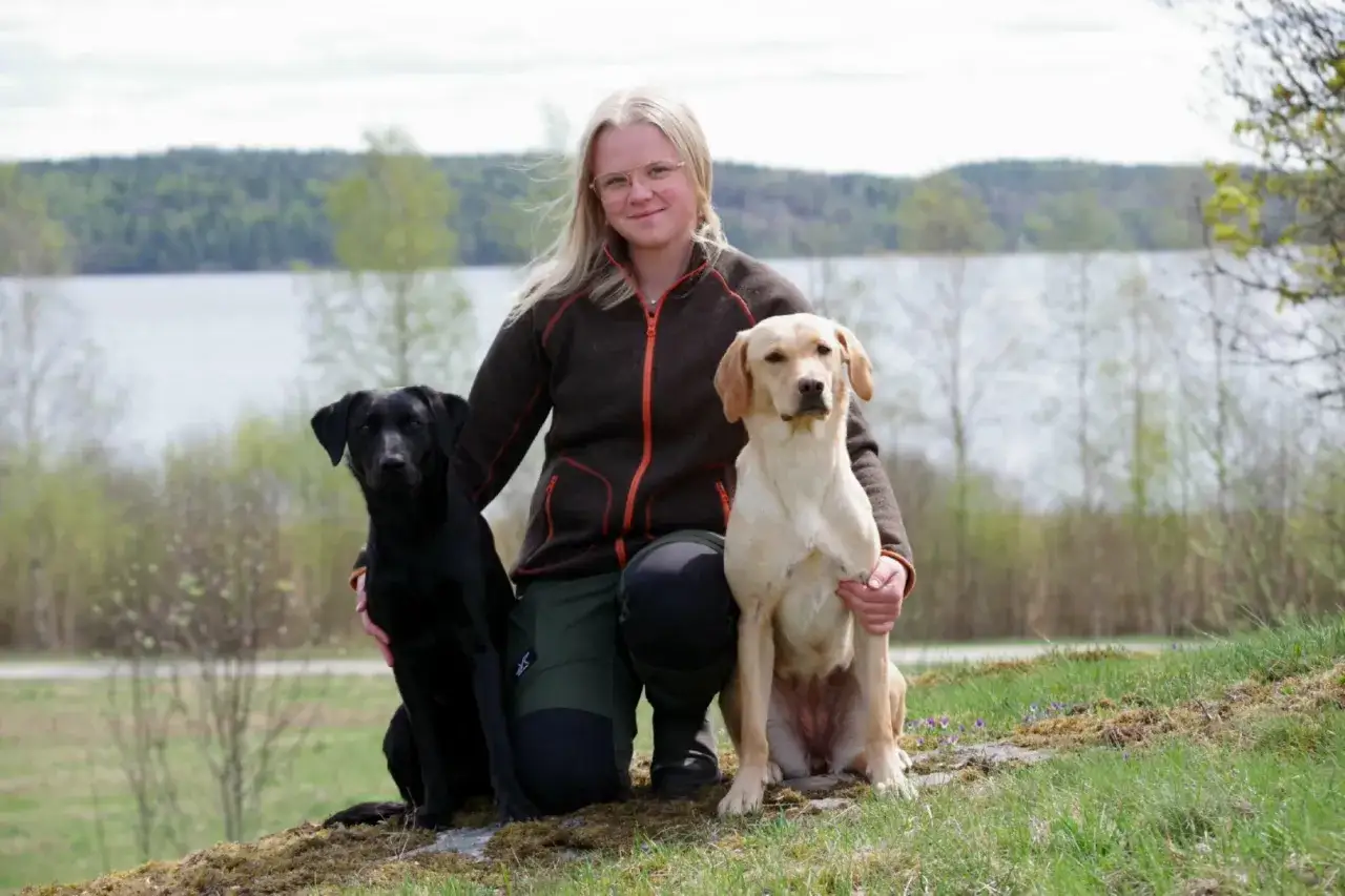 Kvinna med svart och gul labrador vid en sj&ouml;. Kanske en del av friskv&aring;rdsbidrag jakt f&ouml;r att tr&auml;na hundarna.
