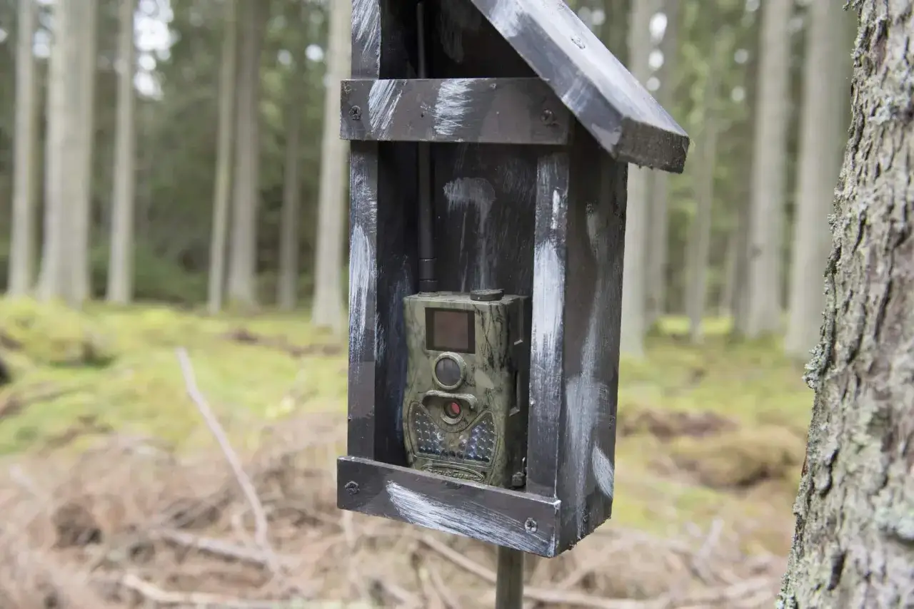 En &aring;telkamera i ett skyddande tr&auml;hus i skogen. T&auml;nk p&aring; &aring;telkamera regler f&ouml;r att undvika problem.