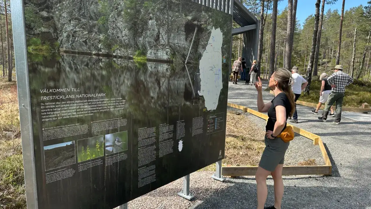 En kvinna pekar mot en informationsskylt vid Tresticklans nationalpark. Skylten visar en karta och information om parkens stora le.