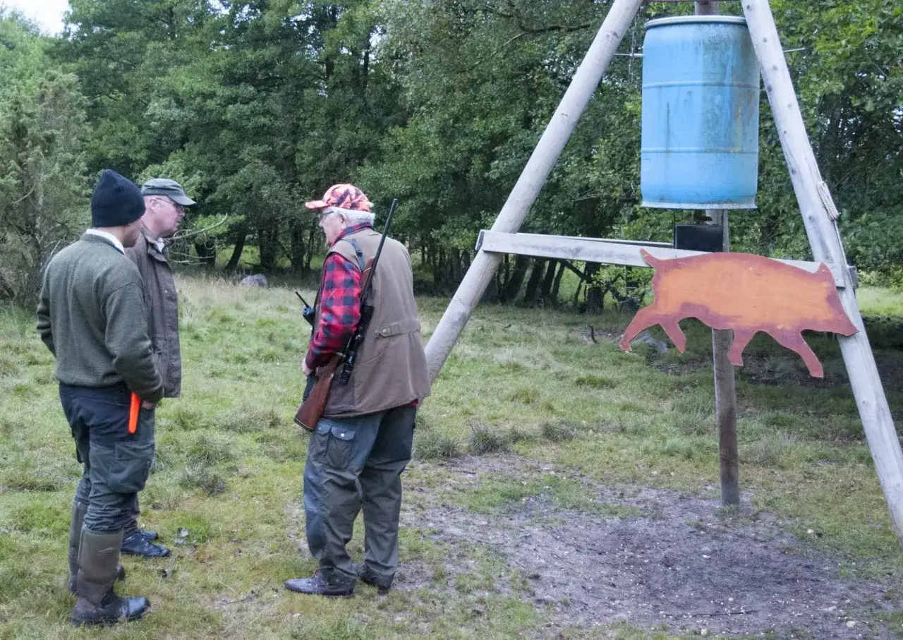 J&auml;gare diskuterar skyddsjakt vildsvin regler vid en upph&auml;ngd tunna och en vildsvinsfigur.