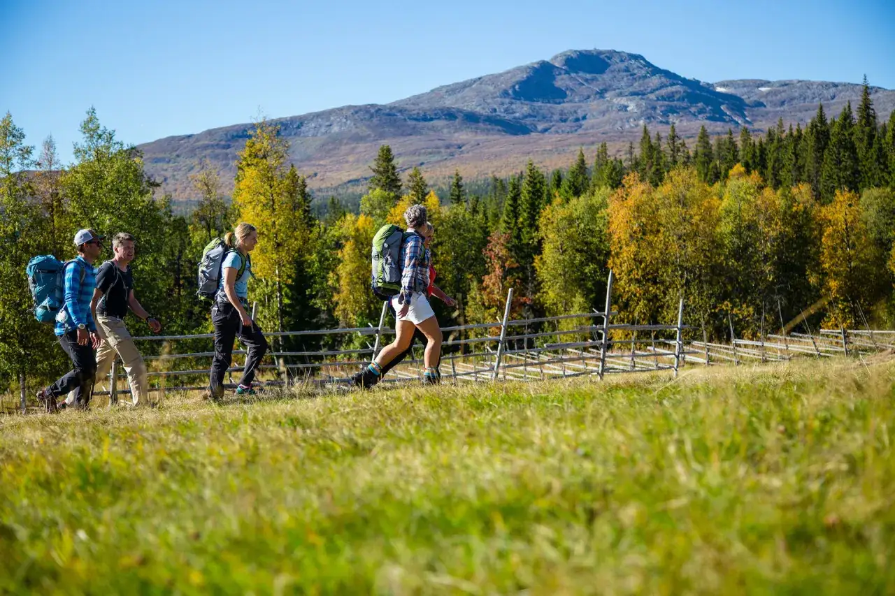 Vandrare njuter av en vacker höstdag med Vålådalen vandring i bakgrunden.