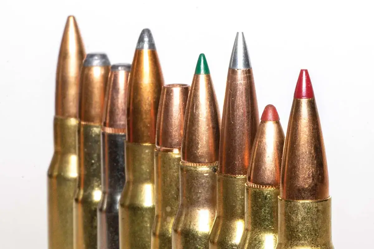 En rad patroner, inklusive klass 1 ammunition, visas i närbild. Vissa har färgade spetsar, som grön och röd.