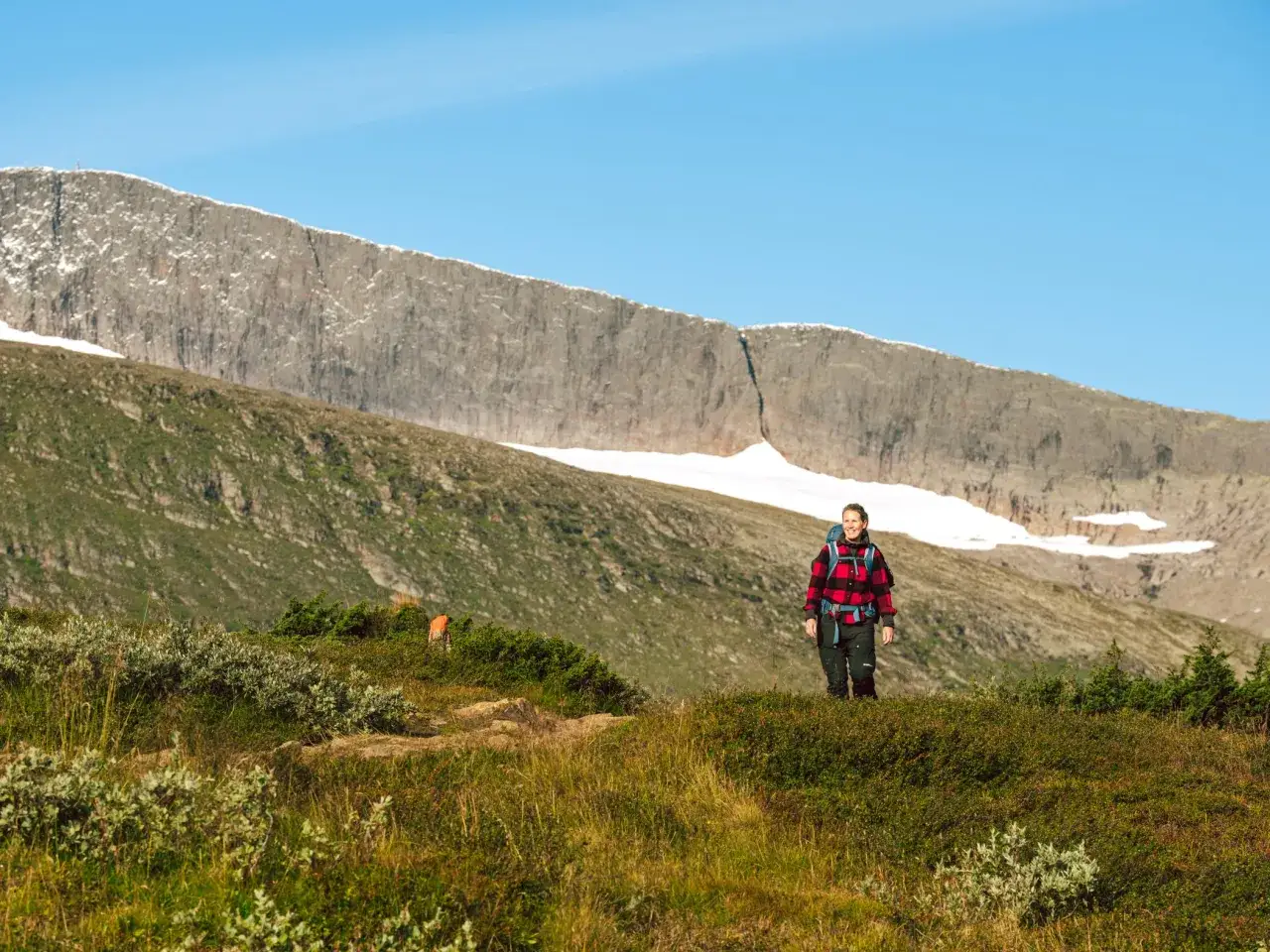 Vandrare på en helags topptur njuter av utsikten över fjällmassivet under en klarblå himmel.