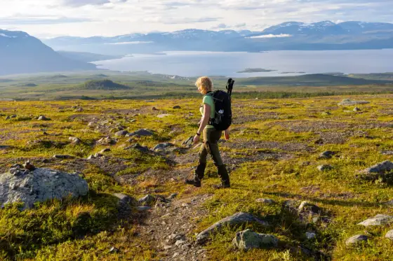 Vandring i Abisko - Planera din tur för bästa upplevelsen