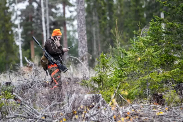 Jägare i orange mössa pratar i telefon med sitt gevär redo. Kanske planerar han nästa äventyr med sitt friskvårdsbidrag jakt.