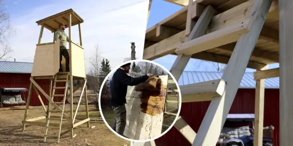 Byggnation av jakttorn. En man målar träet, som påminner om en stor lastpall, med skyddande olja.